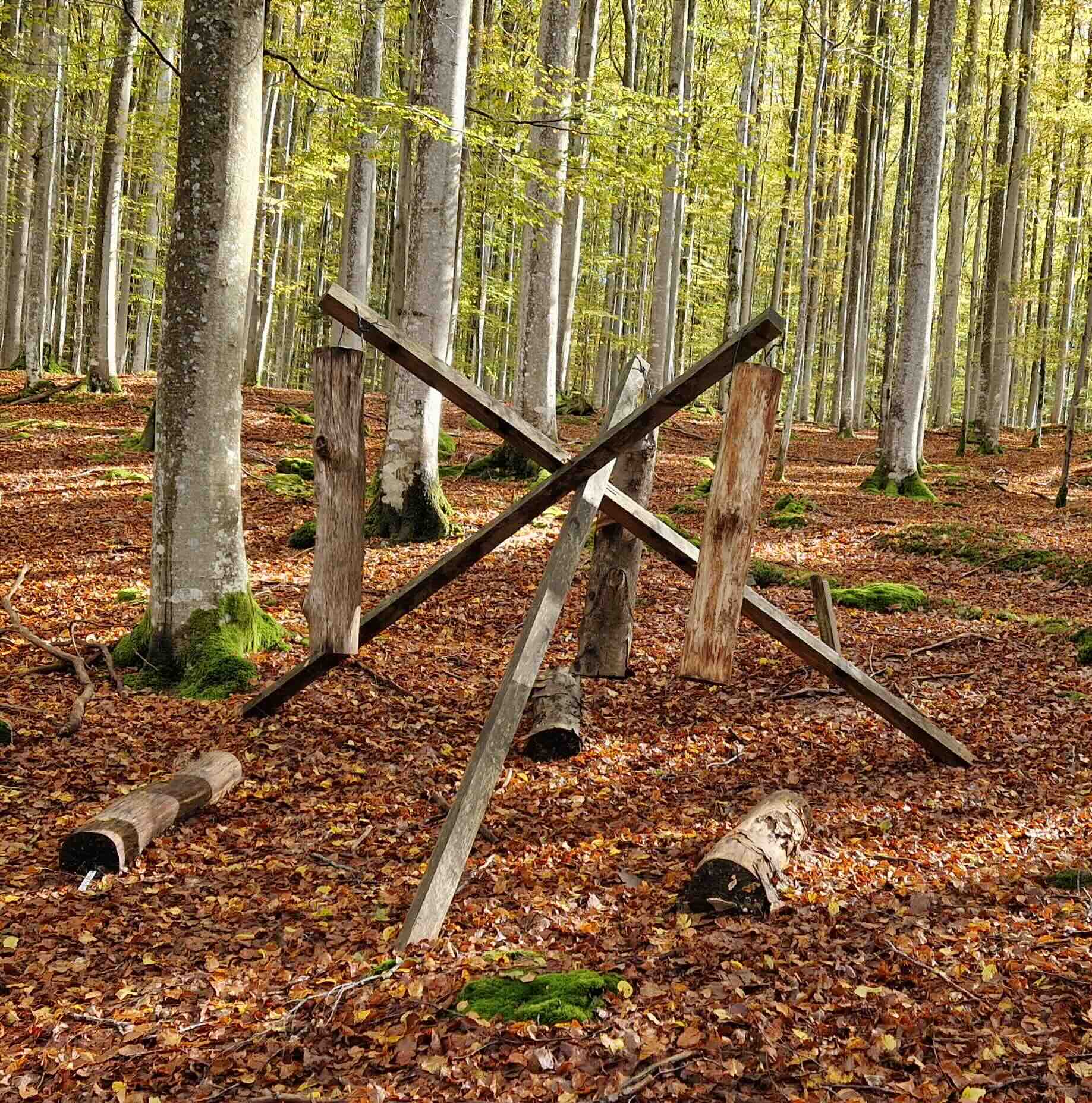 Bild_UBTFungalEcology